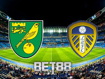 Soi kèo nhà cái Norwich City vs Leeds Utd – 21h00 – 31/10/2021
