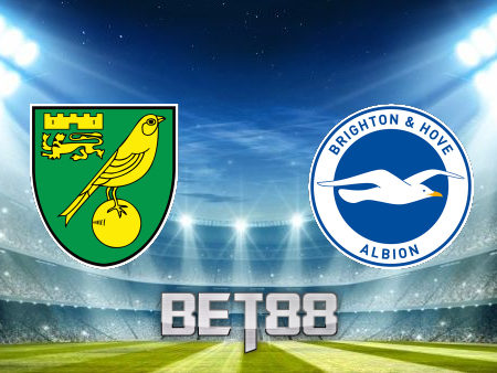 Soi kèo nhà cái Norwich vs Brighton Albion – 21h00 – 16/10/2021
