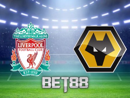 Soi kèo nhà cái Liverpool vs Wolves – 03h00 – 02/03/2023